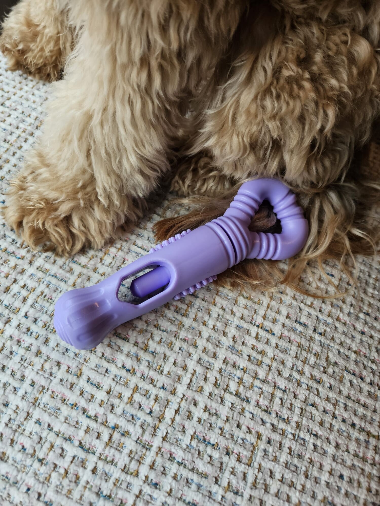 Houder kauwstaaf LILAC