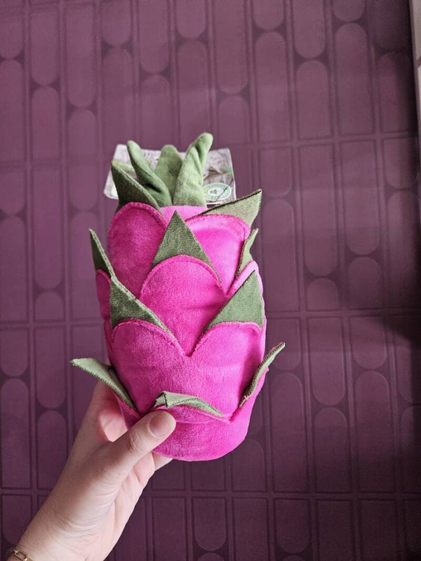 Snuffelspeeltje DRAGONFRUIT