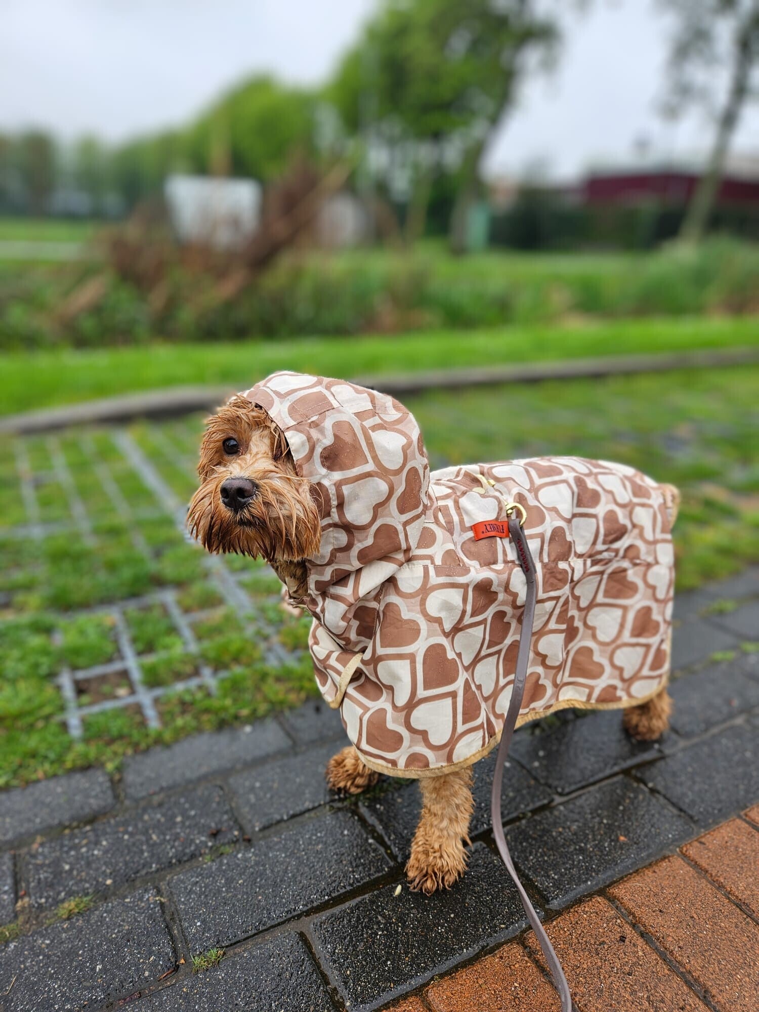Regenjasje FURMEY X SHOEBY S