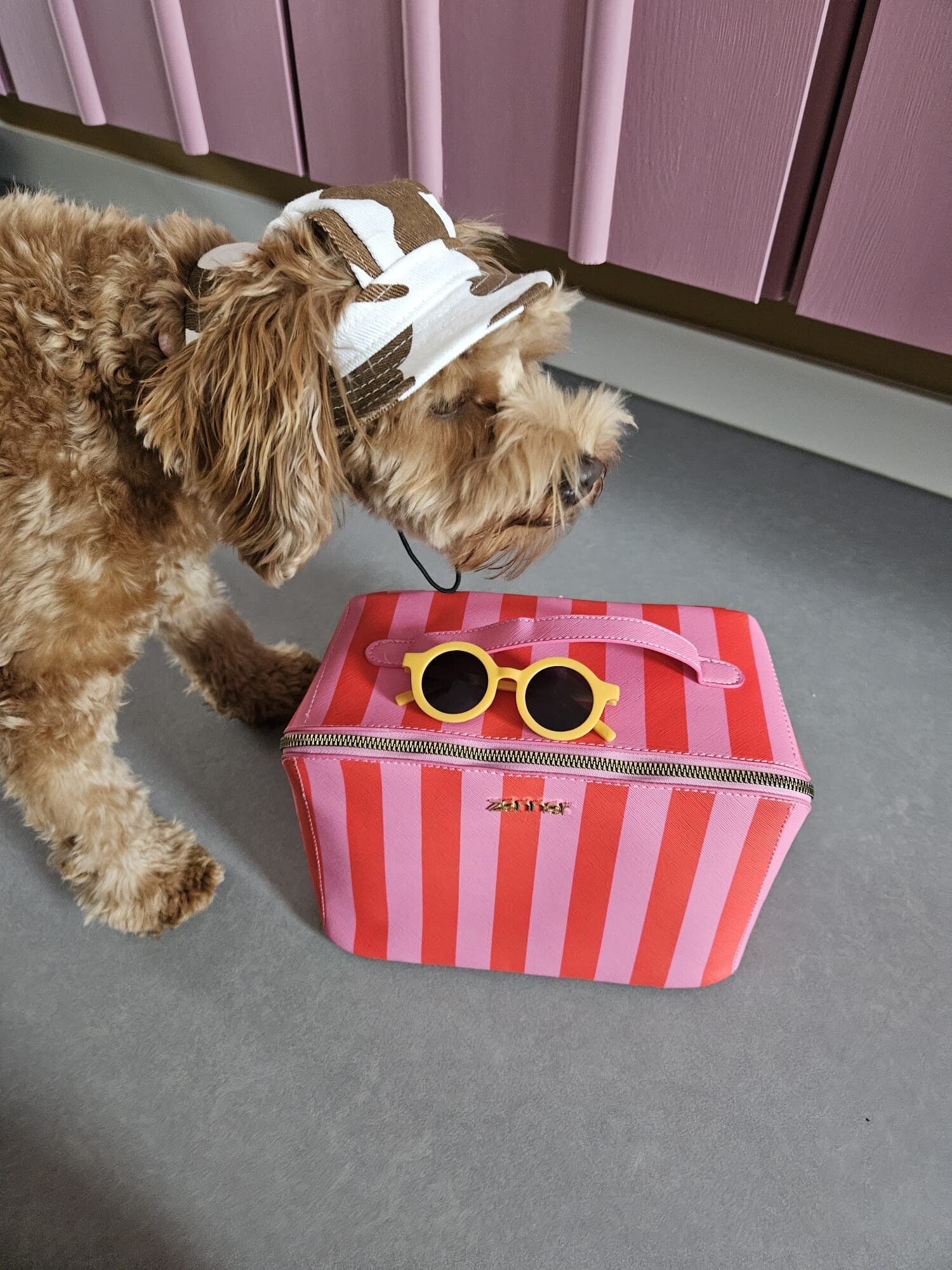 Buckethat COW