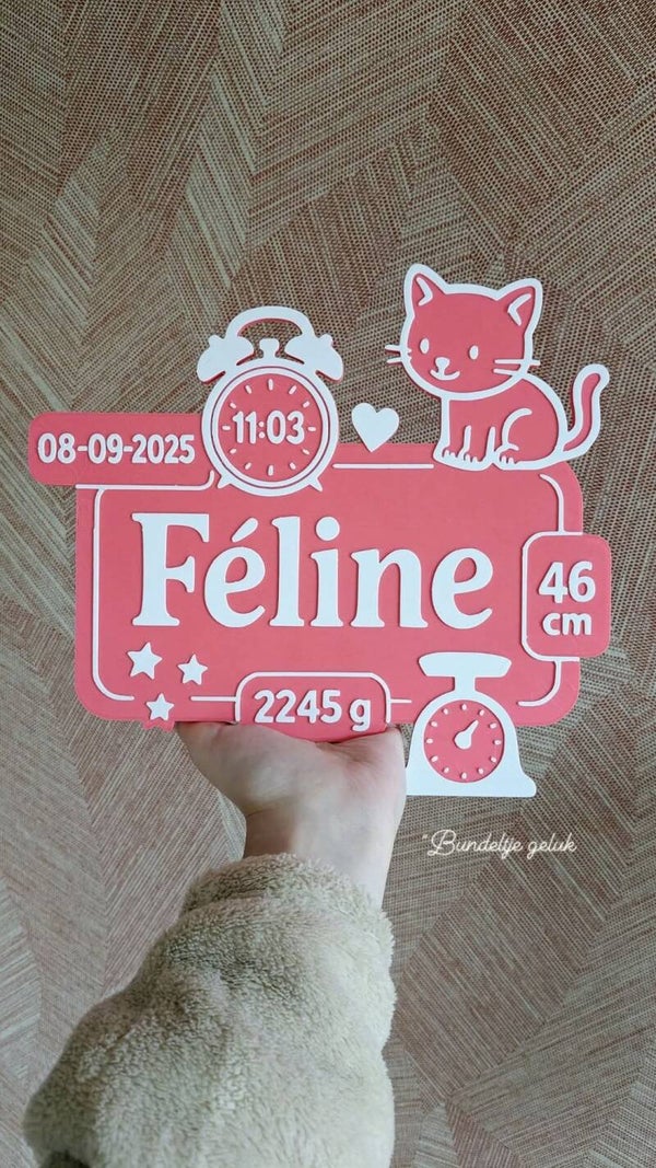 3D Print Naam/Geboorte Bordje