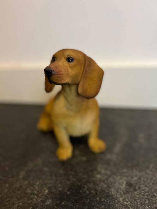 Teckel middelgroot (diverse kleuren)