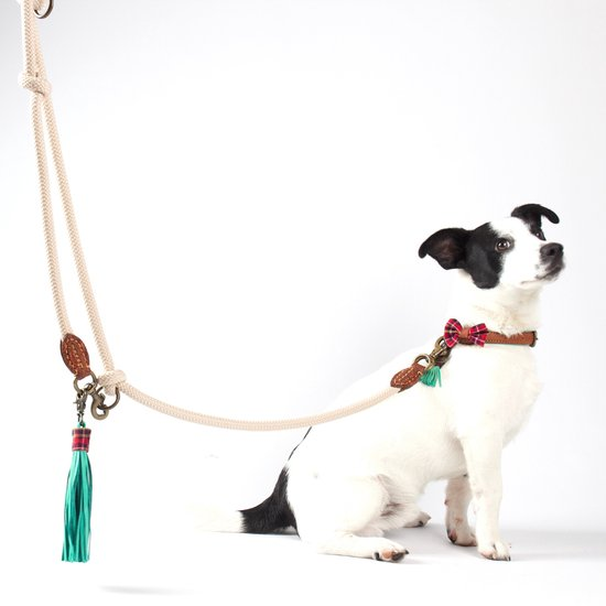 Dwam Trainingslijn Sand Touw Zand - Hondenriem - 220x1.4 cm