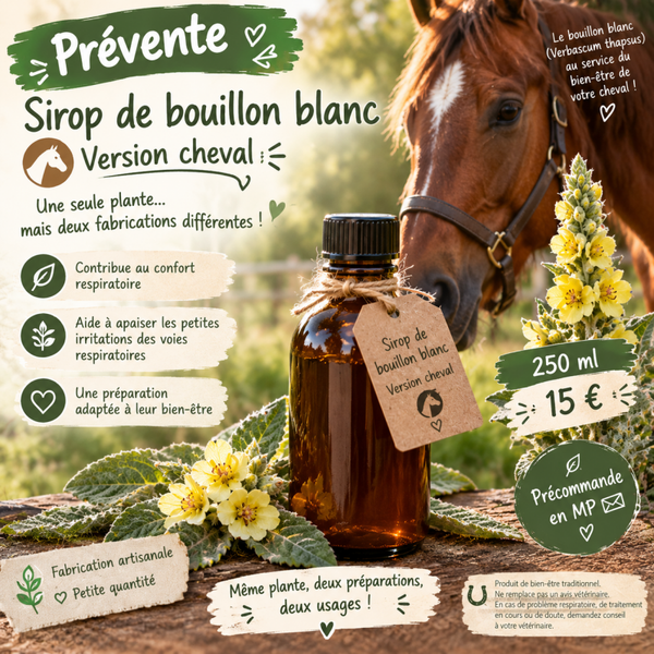 🌿 Sirop de Bouillon Blanc – Version Cheval 🐴