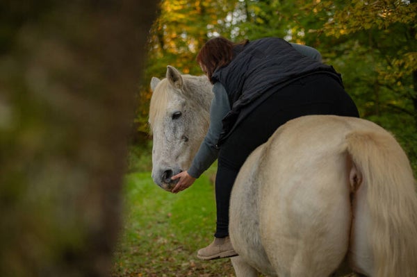 ✨ Forfait Harmonie avec les chevaux✨