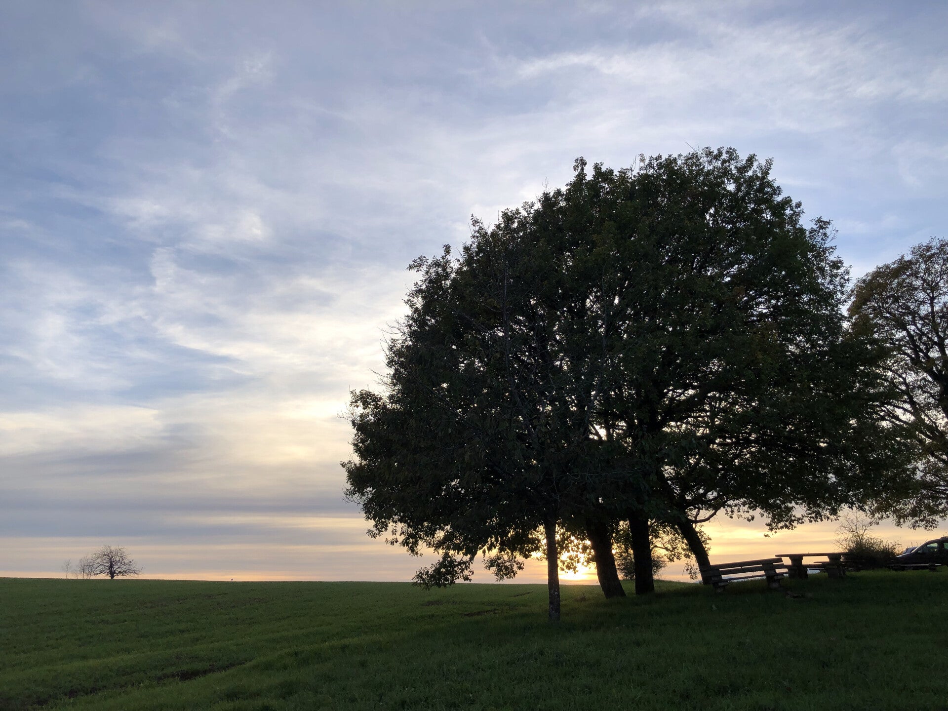 ✨ Forfait Harmonie avec les chevaux✨