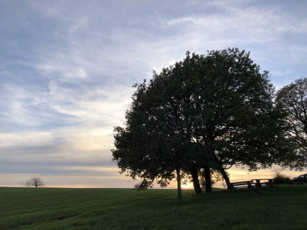 ✨ Forfait Harmonie avec les chevaux✨