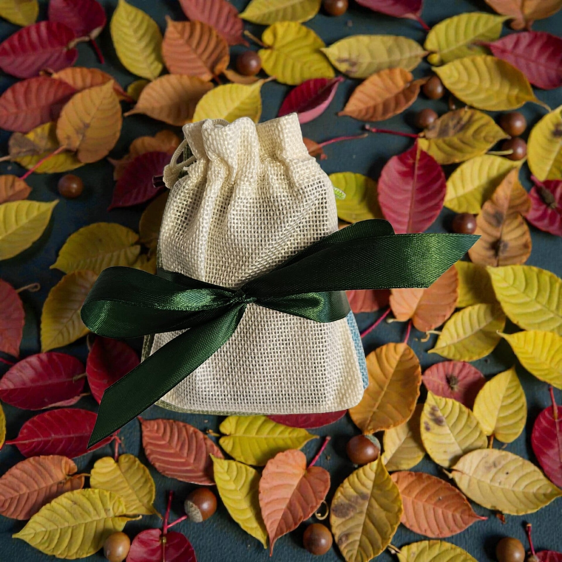 ORACLE "DES 4 SAISONS"