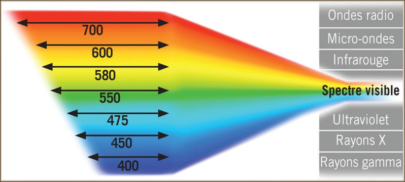 Spectre des couleurs visibles par l'oeil humain