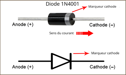 Description de la diode 1N4001