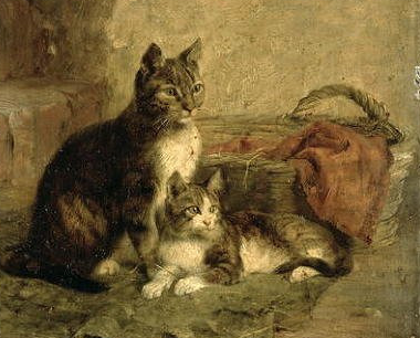 Praktijk voor Kattengedrag Twente