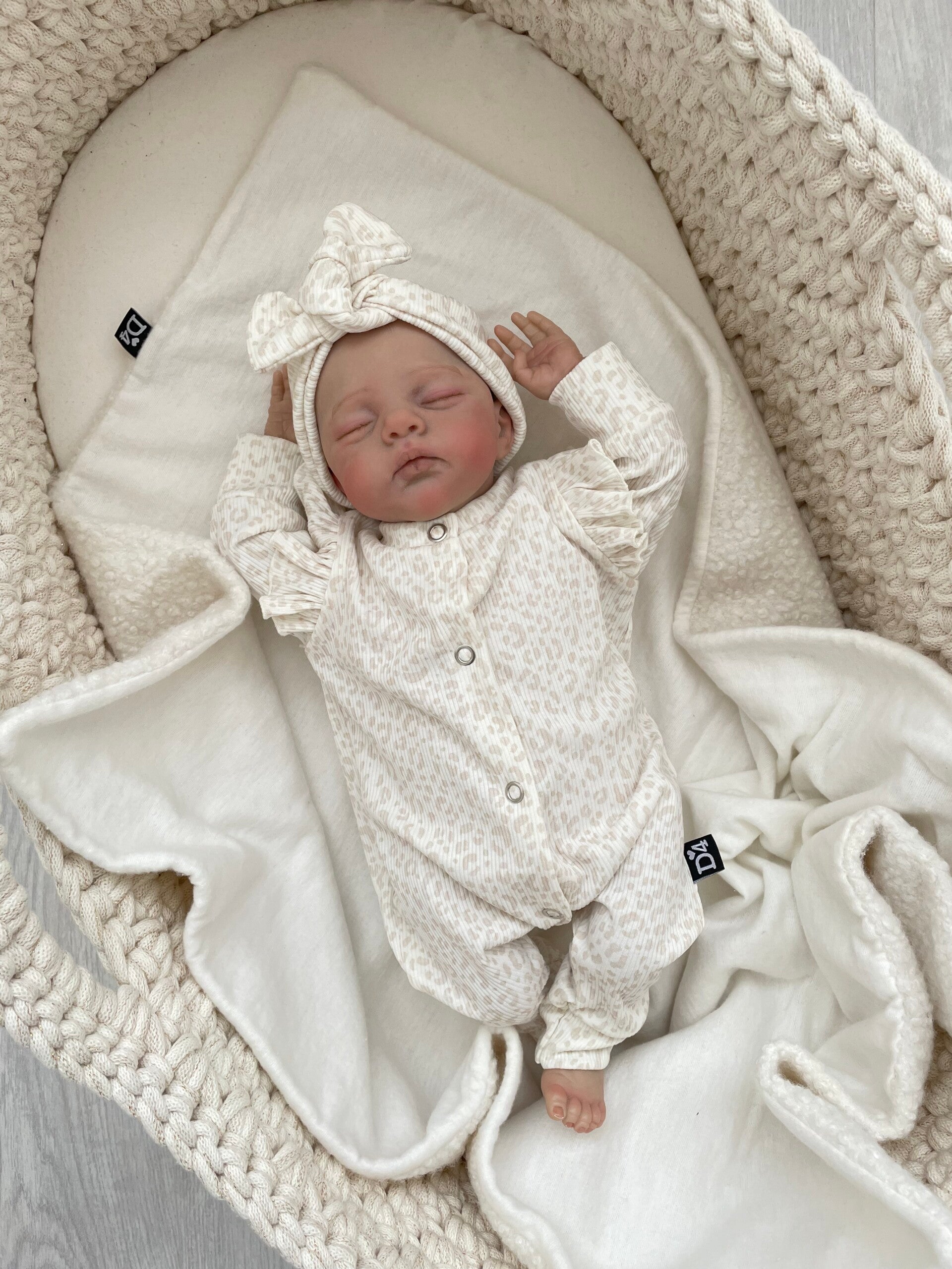 Boxpakje Panter Blush