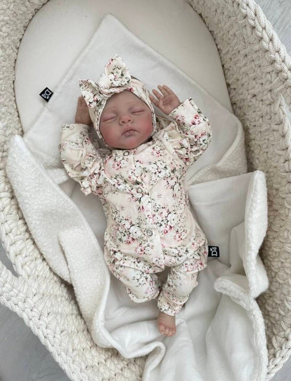 Boxpakje la rosa creamy