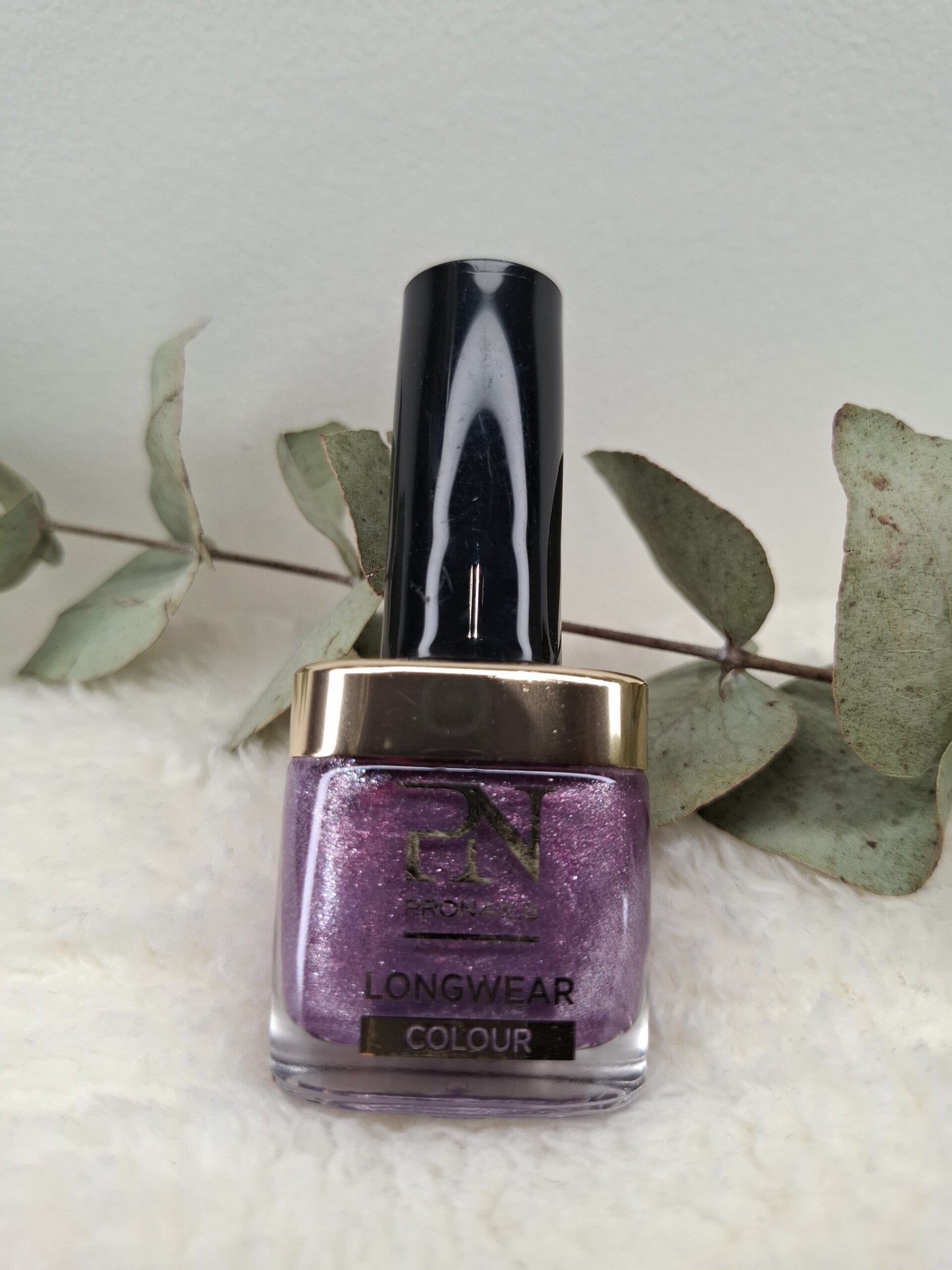 PN Longwaere 314 Salut Ma Belle!