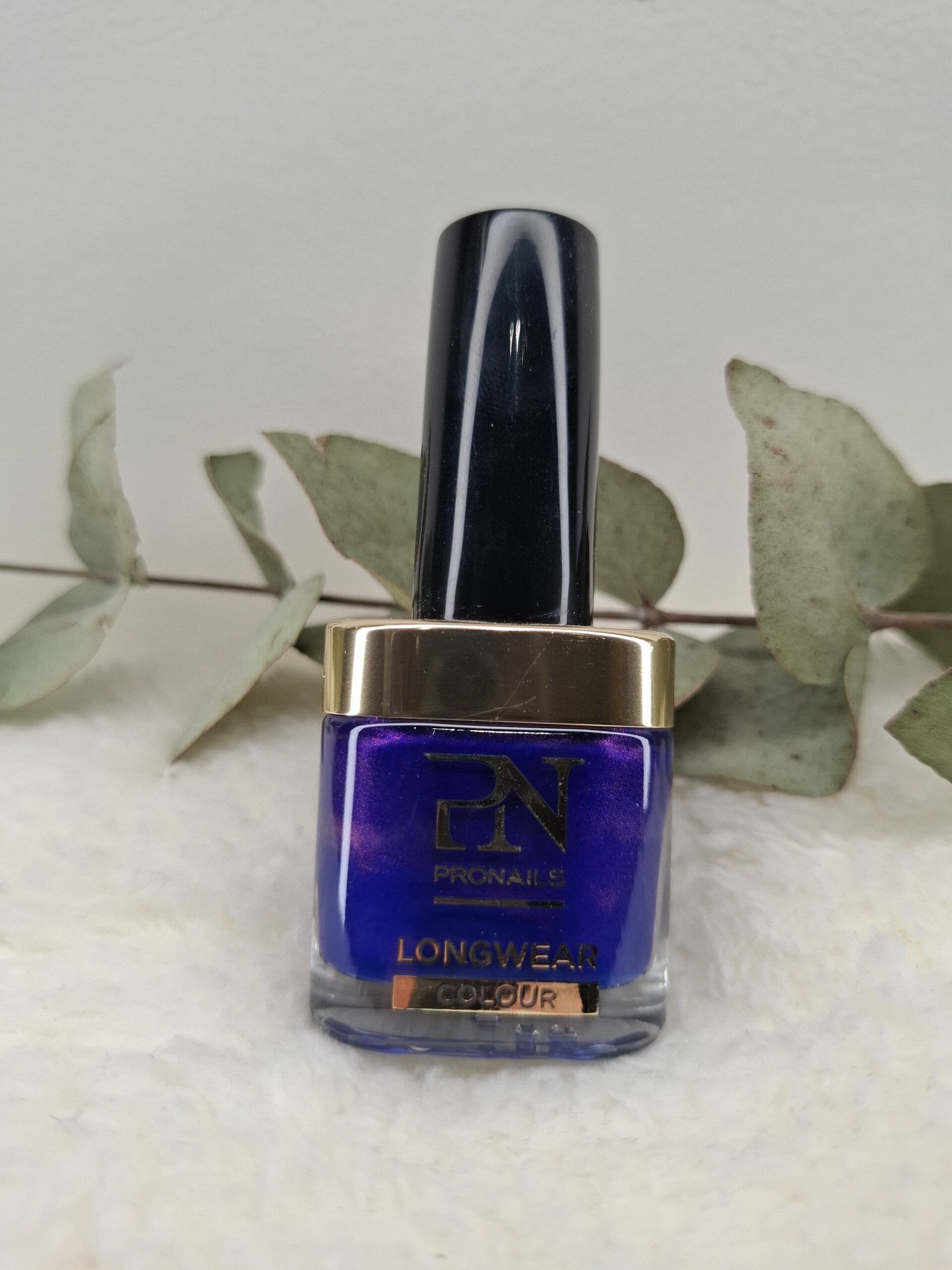 PN Longwaere 187 Morning Glory