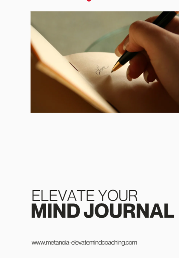Hard cover book : Journal 130 Dagen (13 hoofdstukken)