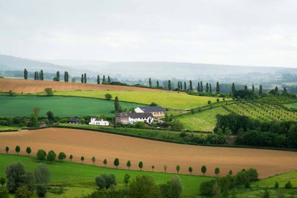 Siem Clerx 'Heuvelrug' fotoafdruk in baklijst 90*60cm of 60*40cm of 30*20cm