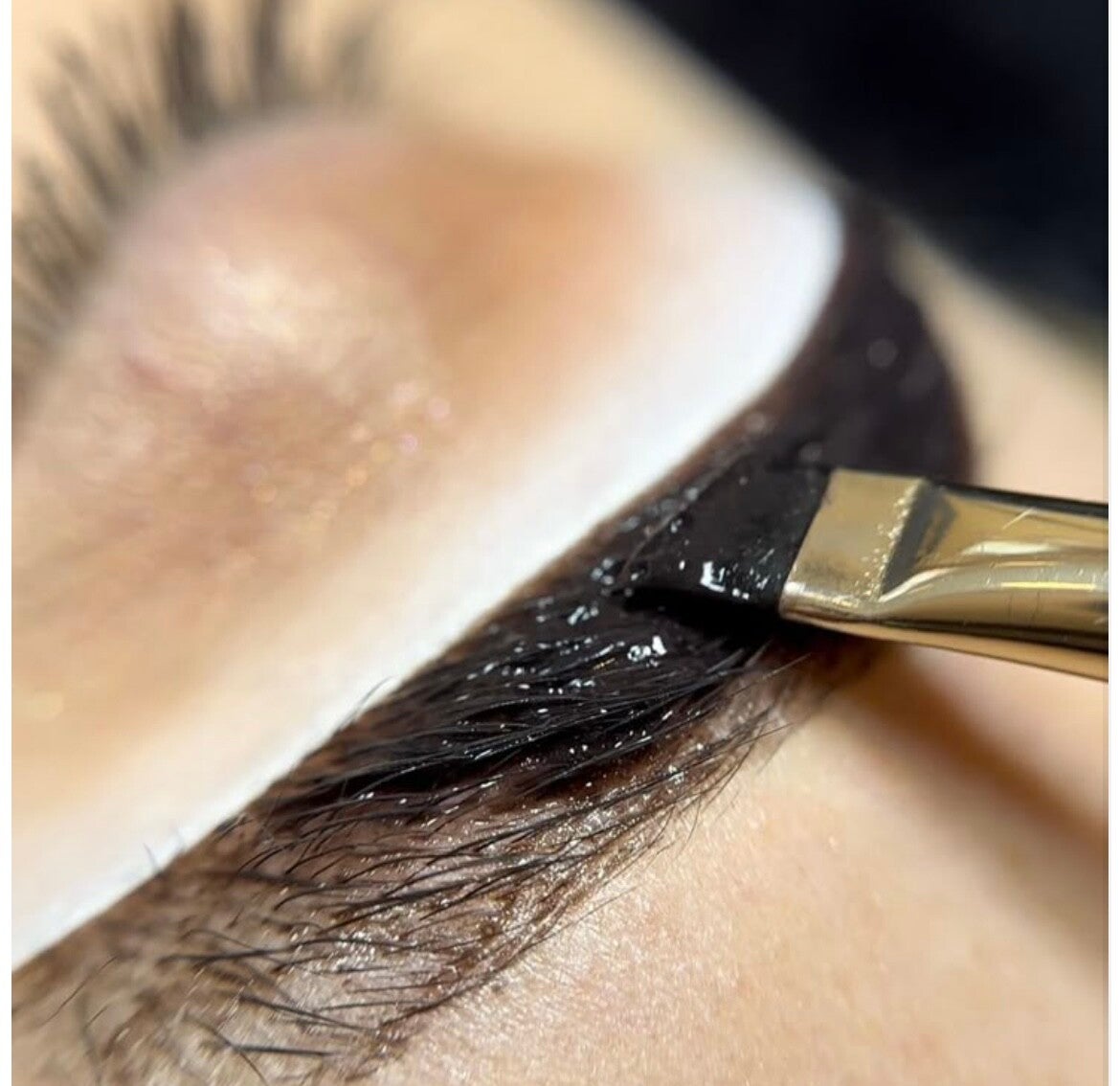 Best brow wax and tint