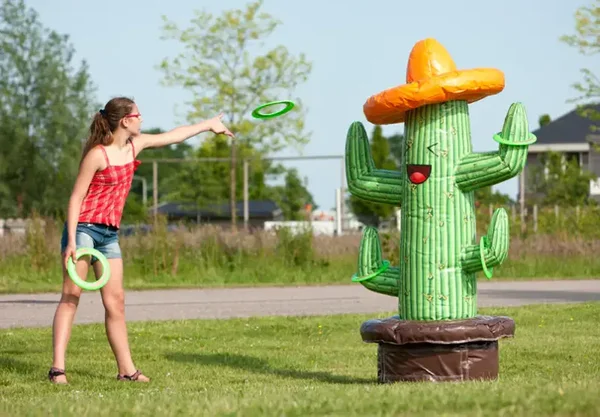 Lancer d'anneaux cactus