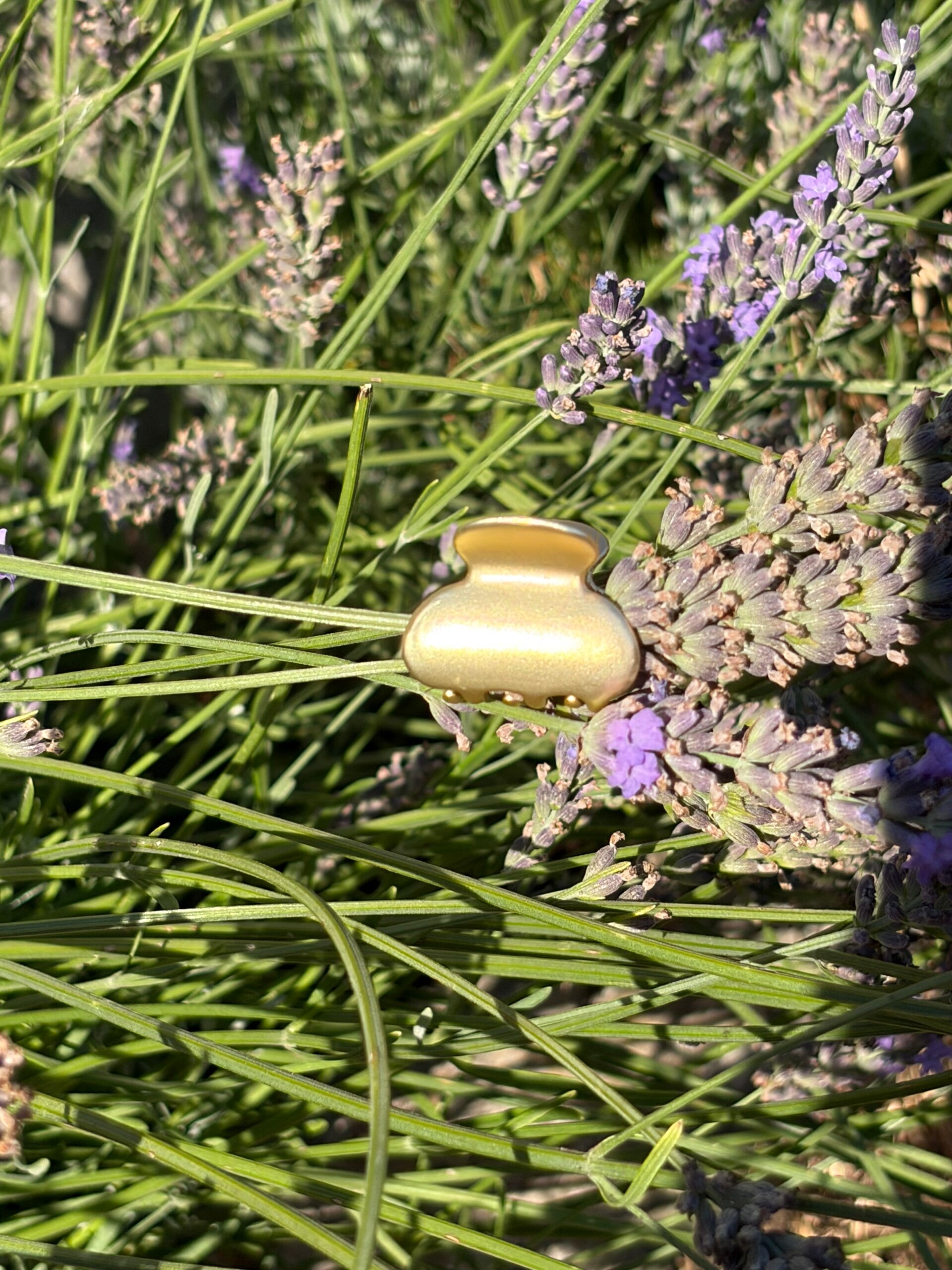 Small Metal Hair Clip