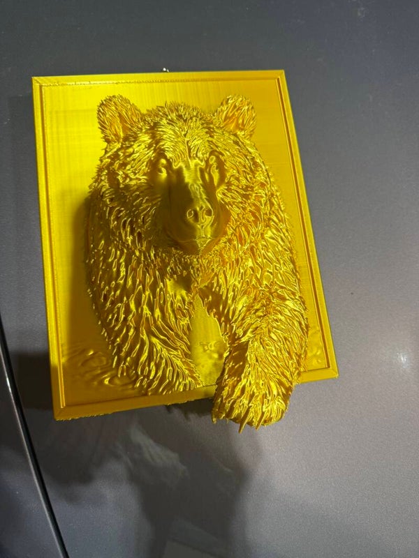 Bear in a frame