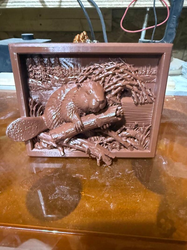 Beaver picture and frame