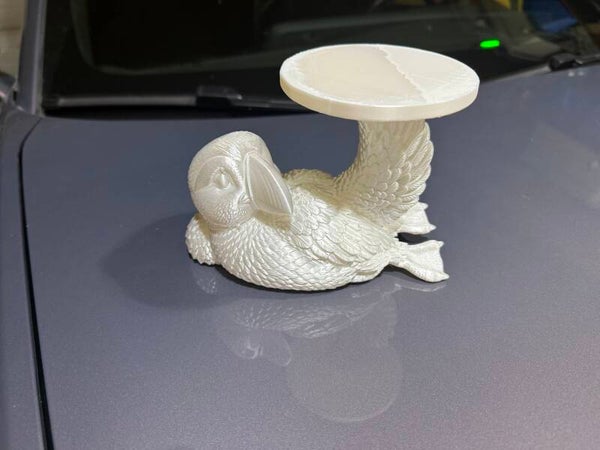 Bird Shelve