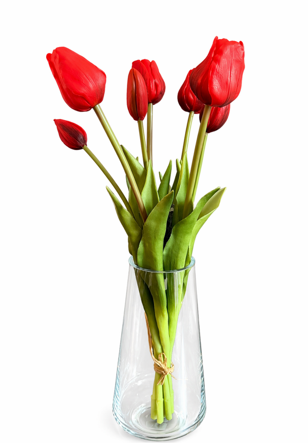Tulp Amsterdam