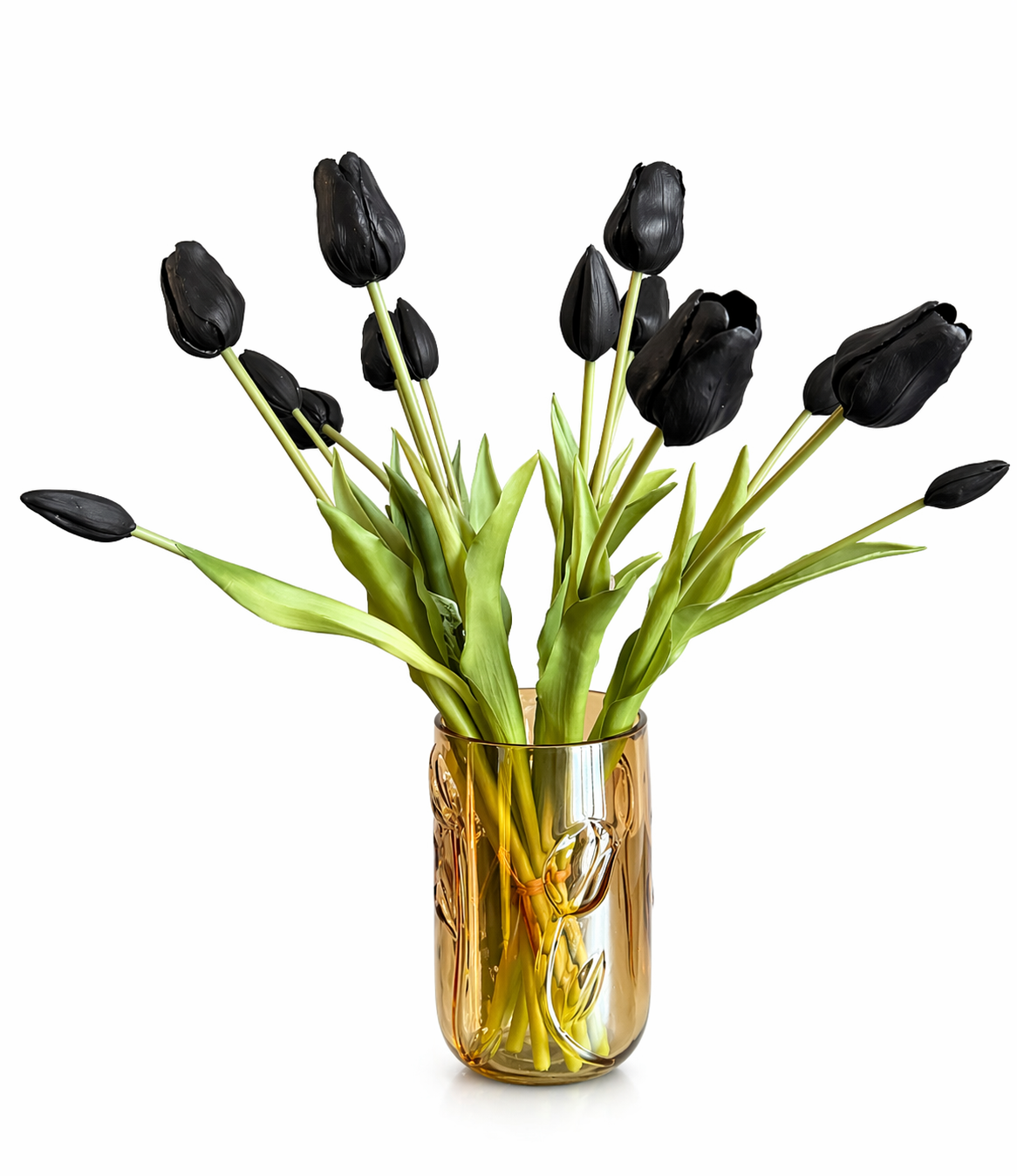Tulp Amsterdam