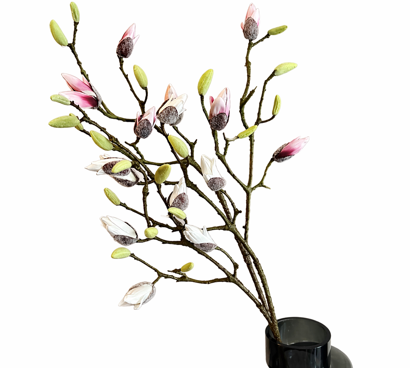 Magnolia Tak Groot