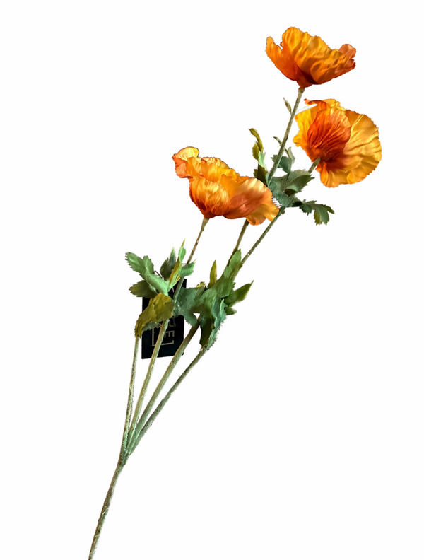 Orange Flower