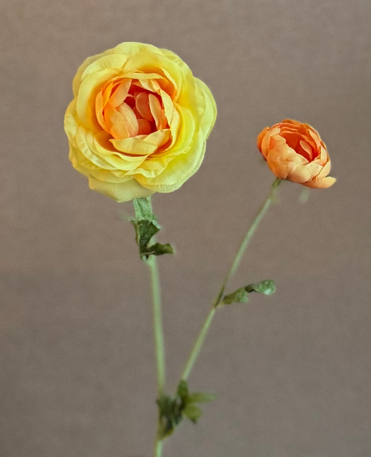 Decoratie Bloem Geel