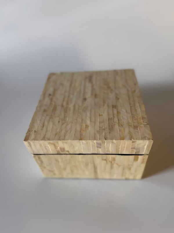 Luxe Opbergbox Parelmoer schelp design