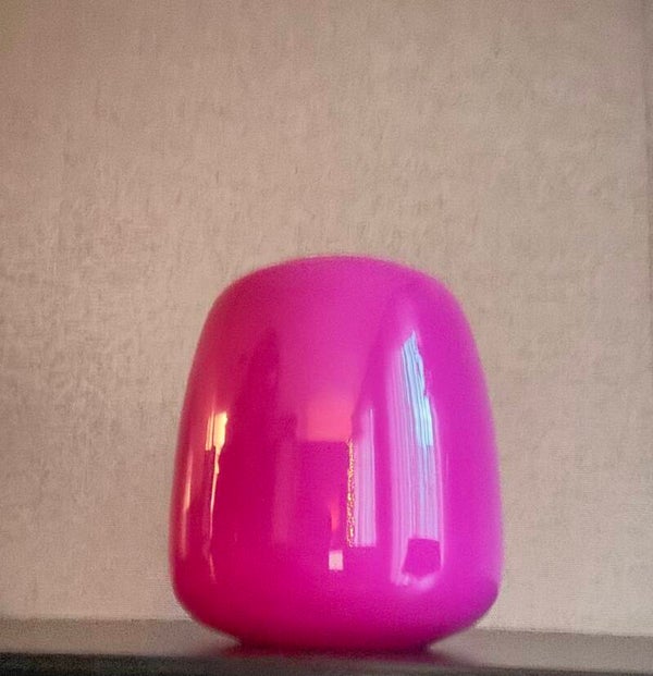 Fuchsia  bloemenvaas