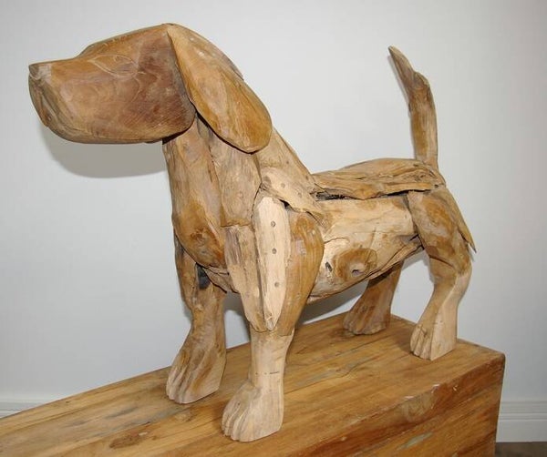 Dog Puppy