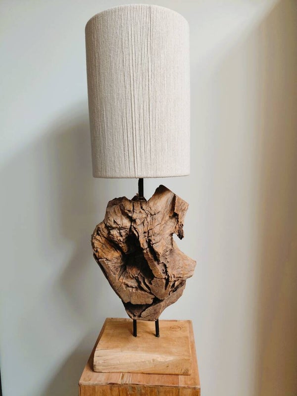 Erosion root on stand