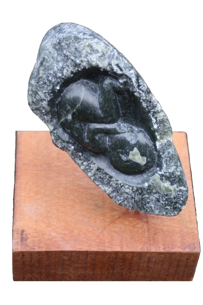 baarmoeder 2012   verkocht