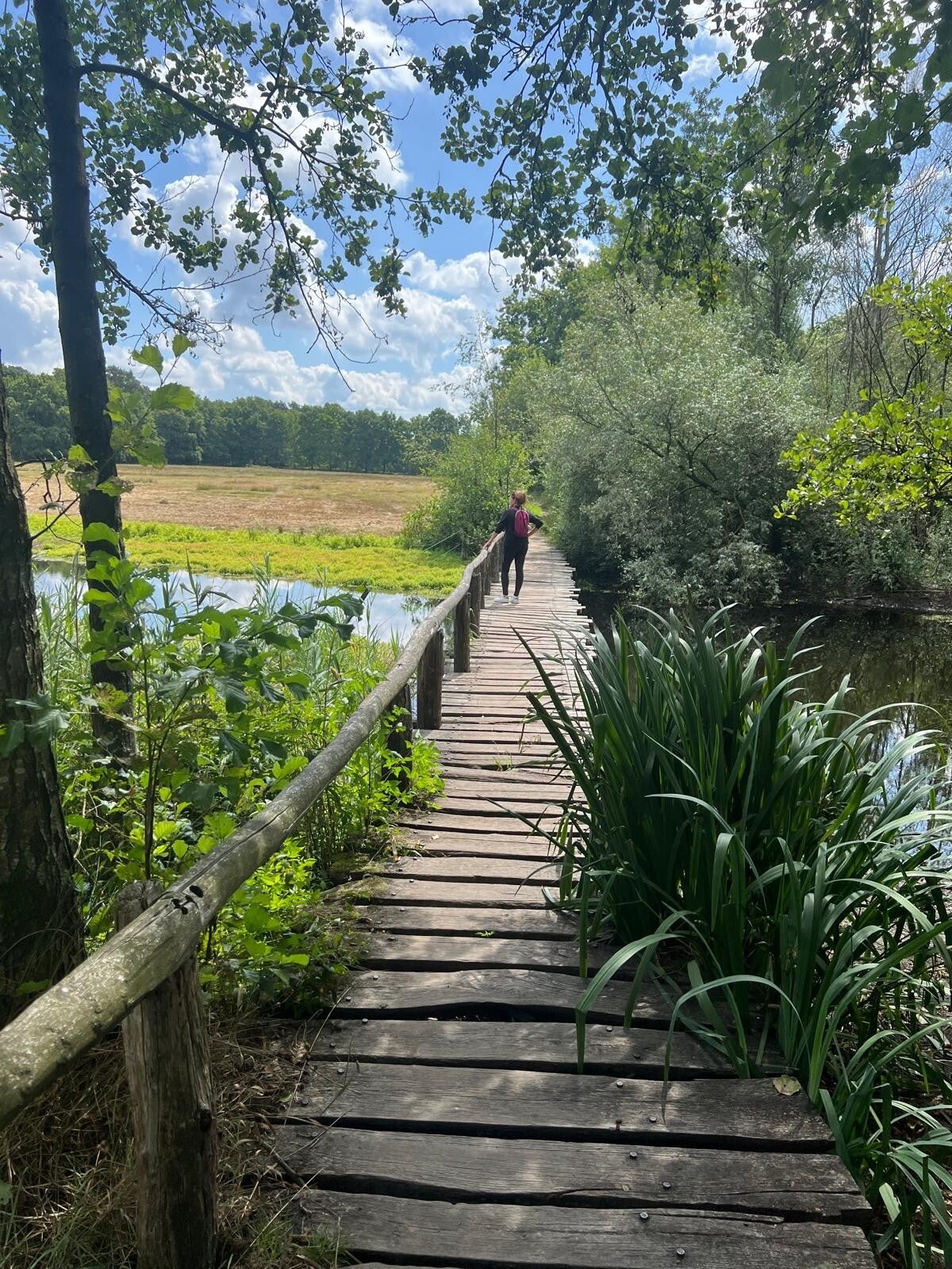 Nathalie van Spall natuur als moment van rust en reflectie