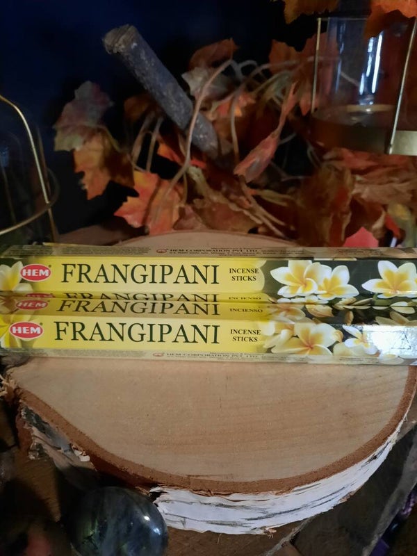 Frangipani