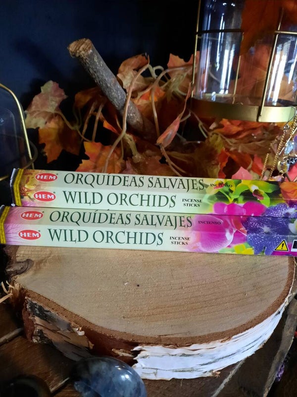 Wilde Orchidee