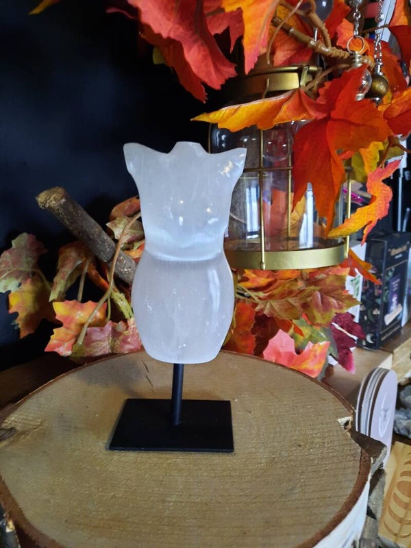 Op Standaard - Seleniet Body