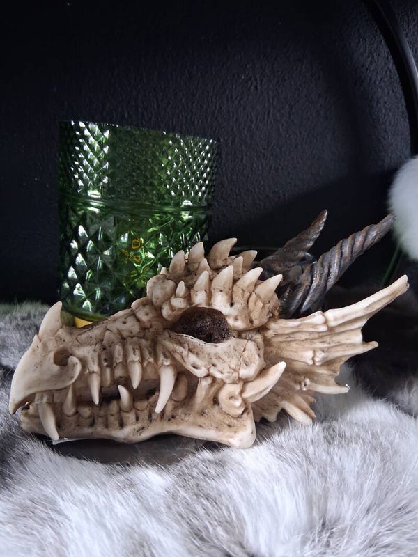 Draken Skull Spaarpot