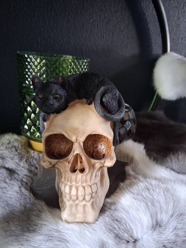 Skull Black Cat