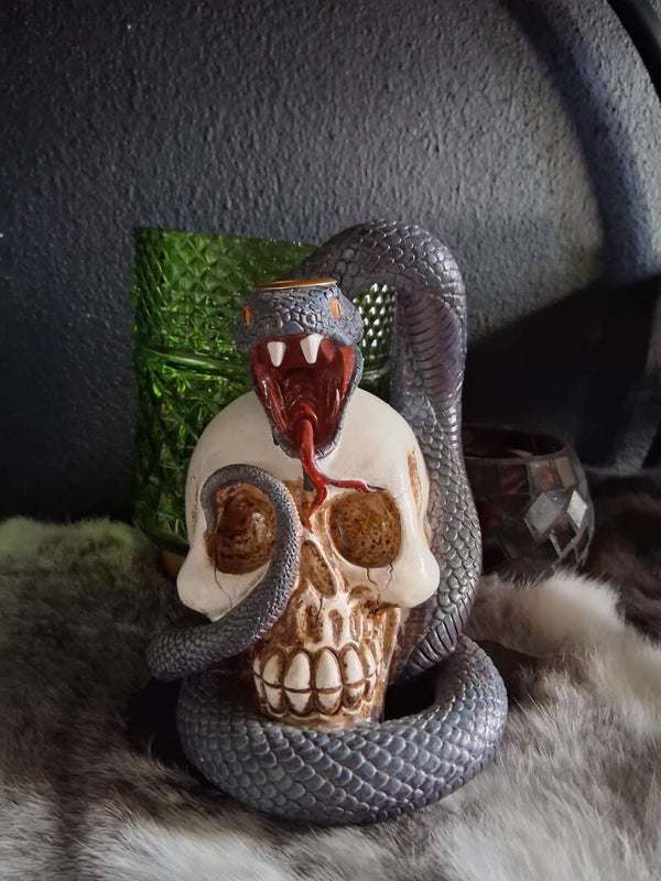Snake Skull