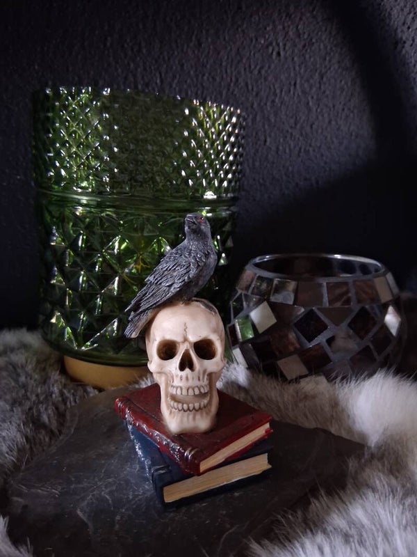 Skull with Books