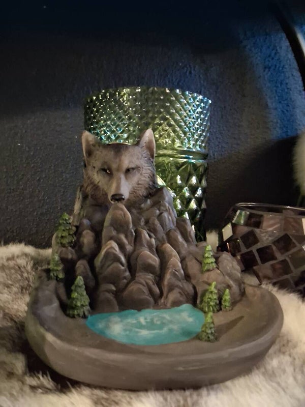 Wolf backflowbrander