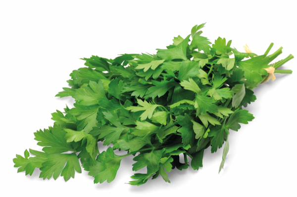 Bladpeterselie 1 bussel