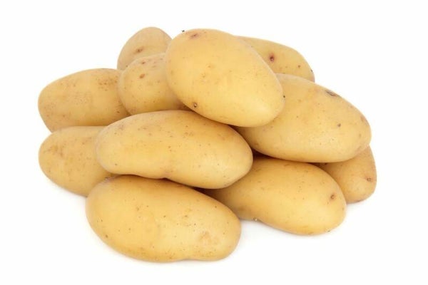 Aardappelen Twister (vastkokend) 2,5kg