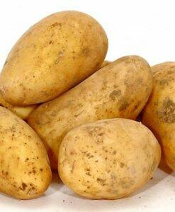 Aardappelen Agria (zachtkokend) 2,5kg