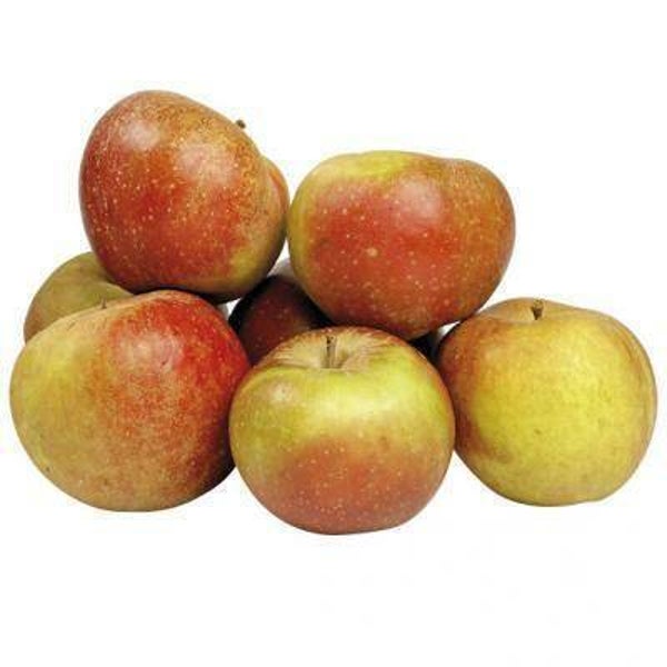 Boskoop appel 1kg (+/- 6 stuks)